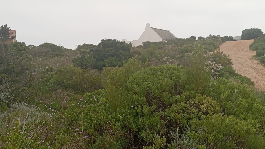 0 Bedroom Property for Sale in Pringle Bay Western Cape